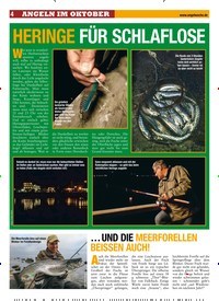 Titelbild der Ausgabe 220/2018 von HERINGE FÜR SCHLAFLOSE. Zeitschriften als Abo oder epaper bei United Kiosk online kaufen.