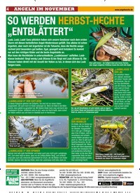 Titelbild der Ausgabe 240/2018 von SO WERDEN HERBST-HECHTE „ENTBLÄTTERT“. Zeitschriften als Abo oder epaper bei United Kiosk online kaufen.