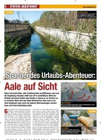 Titelbild der Ausgabe 260/2018 von Spannendes Urlaubs-Abenteuer: Aale auf Sicht. Zeitschriften als Abo oder epaper bei United Kiosk online kaufen.