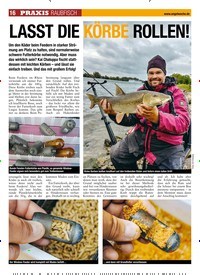 Titelbild der Ausgabe 260/2018 von RAUBFISCH: LASST DIE KÖRBE ROLLEN!. Zeitschriften als Abo oder epaper bei United Kiosk online kaufen.