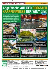 Titelbild der Ausgabe 50/2019 von AngelWoche AUF DER GRÖSSTEN KARPFENMESSE DER WELT. Zeitschriften als Abo oder epaper bei United Kiosk online kaufen.