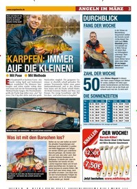 Titelbild der Ausgabe 60/2019 von KARPFEN: IMMER AUF DIE KLEINEN!. Zeitschriften als Abo oder epaper bei United Kiosk online kaufen.