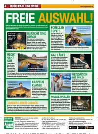 Titelbild der Ausgabe 110/2019 von FREIE AUSWAHL!. Zeitschriften als Abo oder epaper bei United Kiosk online kaufen.