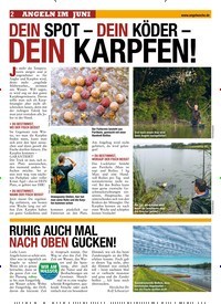Titelbild der Ausgabe 130/2019 von DEIN SPOT – DEIN KÖDER –DEIN KARPFEN!. Zeitschriften als Abo oder epaper bei United Kiosk online kaufen.