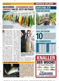 Titelbild der Ausgabe 130/2019 von HECHTKÖDER – SCHWIMMEND ODER SINKEND? DAS IST JETZT DIE FRAGE!. Zeitschriften als Abo oder epaper bei United Kiosk online kaufen.