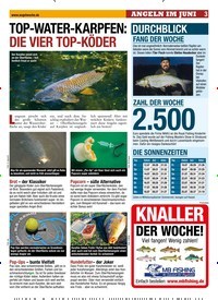 Titelbild der Ausgabe 150/2019 von ANGELN IM JUNI: TOP-WATER-KARPFEN: DIE VIER TOP-KÖDER. Zeitschriften als Abo oder epaper bei United Kiosk online kaufen.