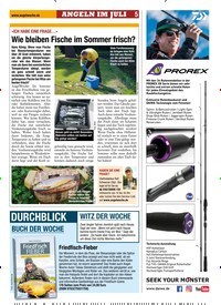 Titelbild der Ausgabe 160/2019 von Wie bleiben Fische im Sommer frisch?. Zeitschriften als Abo oder epaper bei United Kiosk online kaufen.