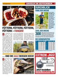 Titelbild der Ausgabe 200/2019 von FÜTTERN, FÜTTERN, FÜTTERN, FÜTTERN – FANGEN!. Zeitschriften als Abo oder epaper bei United Kiosk online kaufen.
