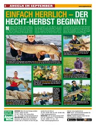 Titelbild der Ausgabe 200/2019 von EINFACH HERRLICH – DER HECHT-HERBST BEGINNT!. Zeitschriften als Abo oder epaper bei United Kiosk online kaufen.