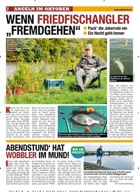 Titelbild der Ausgabe 220/2019 von WENN FRIEDFISCHANGLER „FREMDGEHEN“. Zeitschriften als Abo oder epaper bei United Kiosk online kaufen.