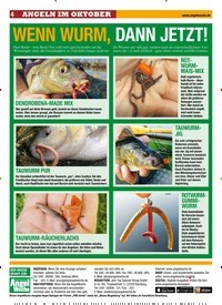 Titelbild der Ausgabe 220/2019 von WENN WURM, DANN JETZT!. Zeitschriften als Abo oder epaper bei United Kiosk online kaufen.