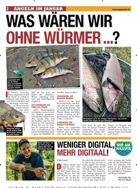 Titelbild der Ausgabe 20/2020 von WAS WÄREN WIR OHNE WÜRMER …?. Zeitschriften als Abo oder epaper bei United Kiosk online kaufen.