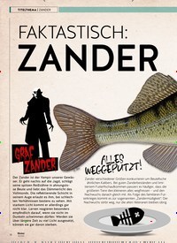 Titelbild der Ausgabe 100/2018 von FAKTASTISCH: ZANDER. Zeitschriften als Abo oder epaper bei United Kiosk online kaufen.