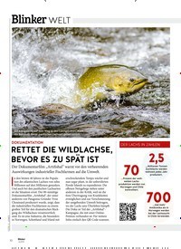 Titelbild der Ausgabe 60/2019 von DOKUMENTATION: RETTET DIE WILDLACHSE, BEVOR ES ZU SPÄT IST. Zeitschriften als Abo oder epaper bei United Kiosk online kaufen.