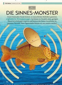 Titelbild der Ausgabe 110/2019 von SINNESLEISTUNG: BIOLOGIE: DIE SINNES-MONSTER. Zeitschriften als Abo oder epaper bei United Kiosk online kaufen.