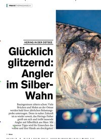 Titelbild der Ausgabe 30/2022 von Glücklich glitzernd: Angler im Silber- Wahn. Zeitschriften als Abo oder epaper bei United Kiosk online kaufen.