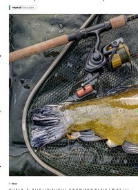 Titelbild der Ausgabe 40/2022 von Futter bei die Fische!. Zeitschriften als Abo oder epaper bei United Kiosk online kaufen.