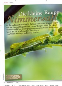 Titelbild der Ausgabe 40/2018 von PRAXIS RAUPEN: Die kleine Raupe: Nimmersatt. Zeitschriften als Abo oder epaper bei United Kiosk online kaufen.