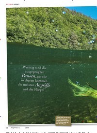 Titelbild der Ausgabe 50/2018 von PRAXIS HECHT: Meister Popper. Zeitschriften als Abo oder epaper bei United Kiosk online kaufen.