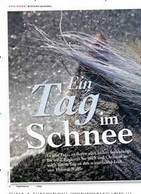 Titelbild der Ausgabe 10/2019 von FOTO-REPORT WINTERFISCHEREI: Ein Tag im Schnee. Zeitschriften als Abo oder epaper bei United Kiosk online kaufen.