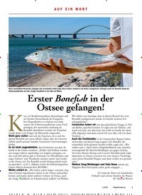 Titelbild der Ausgabe 30/2019 von AUF EIN WORT: Erster Bonefish in der Ostsee gefangen!. Zeitschriften als Abo oder epaper bei United Kiosk online kaufen.