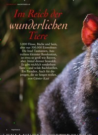 Titelbild der Ausgabe 70/2019 von TASMANIEN BACHFORELLE: Im Reich der wunderlichen Tiere. Zeitschriften als Abo oder epaper bei United Kiosk online kaufen.