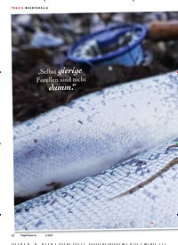 Titelbild der Ausgabe 20/2020 von MEERFORELLE: Eine für alle Fälle. Zeitschriften als Abo oder epaper bei United Kiosk online kaufen.