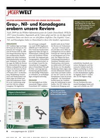 Titelbild der Ausgabe 30/2019 von WILDTIER-INFORMATIONSSYSTEM DER LÄNDER DEUTSCHLANDS: Grau-, Nil- und Kanadagans erobern unsere Reviere. Zeitschriften als Abo oder epaper bei United Kiosk online kaufen.