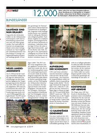 Titelbild der Ausgabe 40/2019 von BUNDESLÄNDER. Zeitschriften als Abo oder epaper bei United Kiosk online kaufen.