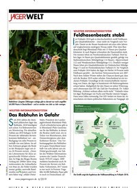 Titelbild der Ausgabe 60/2019 von JÄGER WELT. Zeitschriften als Abo oder epaper bei United Kiosk online kaufen.