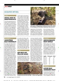 Titelbild der Ausgabe 60/2019 von AUSLAND AKTUELL. Zeitschriften als Abo oder epaper bei United Kiosk online kaufen.