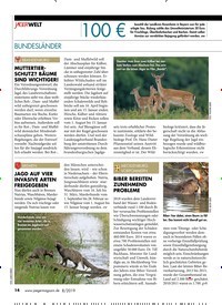 Titelbild der Ausgabe 80/2019 von BUNDESLÄNDER. Zeitschriften als Abo oder epaper bei United Kiosk online kaufen.