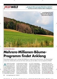 Titelbild der Ausgabe 90/2019 von DEUTSCHLANDS WALD: Mehrere-Millionen-Bäume-Programm findet Anklang. Zeitschriften als Abo oder epaper bei United Kiosk online kaufen.
