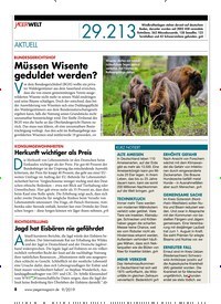 Titelbild der Ausgabe 90/2019 von RICHTIGSTELLUNG: Jagd hat Eisbären nie gefährdet. Zeitschriften als Abo oder epaper bei United Kiosk online kaufen.