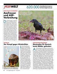 Titelbild der Ausgabe 100/2019 von AFRIKANISCHE SCHWEINEPEST: Aasfresser und ASPVerbreitung. Zeitschriften als Abo oder epaper bei United Kiosk online kaufen.
