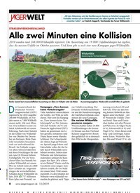 Titelbild der Ausgabe 120/2019 von STRASSENVERKEHRSFALLWILD: Alle zwei Minuten eine Kollision. Zeitschriften als Abo oder epaper bei United Kiosk online kaufen.