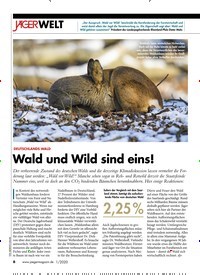 Titelbild der Ausgabe 10/2020 von DEUTSCHLANDS WALD: Wald und Wild sind eins!. Zeitschriften als Abo oder epaper bei United Kiosk online kaufen.