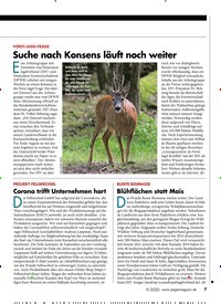 Titelbild der Ausgabe 90/2020 von FORST-JAGD-FRAGE: Suche nach Konsens läuft noch weiter. Zeitschriften als Abo oder epaper bei United Kiosk online kaufen.