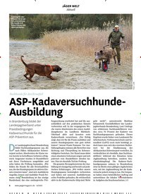 Titelbild der Ausgabe 80/2021 von Europameisterschaft im jagdsportlichen Flintenschießen. Zeitschriften als Abo oder epaper bei United Kiosk online kaufen.