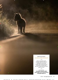 Titelbild der Ausgabe 90/2021 von Zahl der ASP-Fälle in Sachsen steigt. Zeitschriften als Abo oder epaper bei United Kiosk online kaufen.