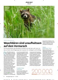 Titelbild der Ausgabe 40/2022 von Waschbären sind unaufhaltsam auf dem Vormarsch. Zeitschriften als Abo oder epaper bei United Kiosk online kaufen.