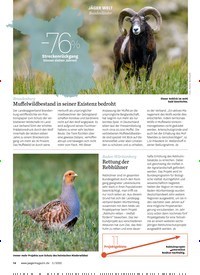 Titelbild der Ausgabe 50/2022 von Muffelwildbestand in seiner Existenz bedroht. Zeitschriften als Abo oder epaper bei United Kiosk online kaufen.