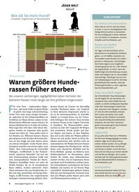 Titelbild der Ausgabe 20/2023 von Warum größere Hunderassen früher sterben. Zeitschriften als Abo oder epaper bei United Kiosk online kaufen.