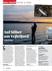 Titelbild der Ausgabe 73/2018 von REVIER & REISE: Auf Silber am Vejlefjord: Top-Tipp. Zeitschriften als Abo oder epaper bei United Kiosk online kaufen.
