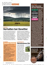 Titelbild der Ausgabe 80/2018 von PINK RIBBON: Viele Kilometer mit der ReiterApp. Zeitschriften als Abo oder epaper bei United Kiosk online kaufen.