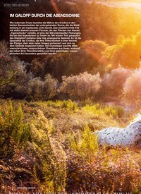 Titelbild der Ausgabe 110/2018 von FOTO DES MONATS: IM GALOPP DURCH DIE ABENDSONNE. Zeitschriften als Abo oder epaper bei United Kiosk online kaufen.