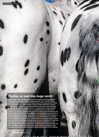 Titelbild der Ausgabe 10/2019 von FOTO DES MONATS: Punkte, so weit das Auge reicht. Zeitschriften als Abo oder epaper bei United Kiosk online kaufen.