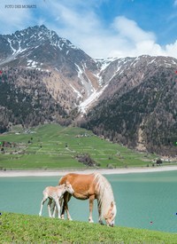 Titelbild der Ausgabe 71/2019 von Goldene Schönheiten. Zeitschriften als Abo oder epaper bei United Kiosk online kaufen.