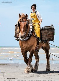 Titelbild der Ausgabe 90/2019 von FOTO DES MONATS. Zeitschriften als Abo oder epaper bei United Kiosk online kaufen.