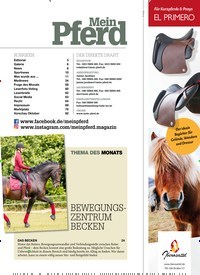 Titelbild der Ausgabe 90/2021 von Seepferdchen hoch sechs. Zeitschriften als Abo oder epaper bei United Kiosk online kaufen.